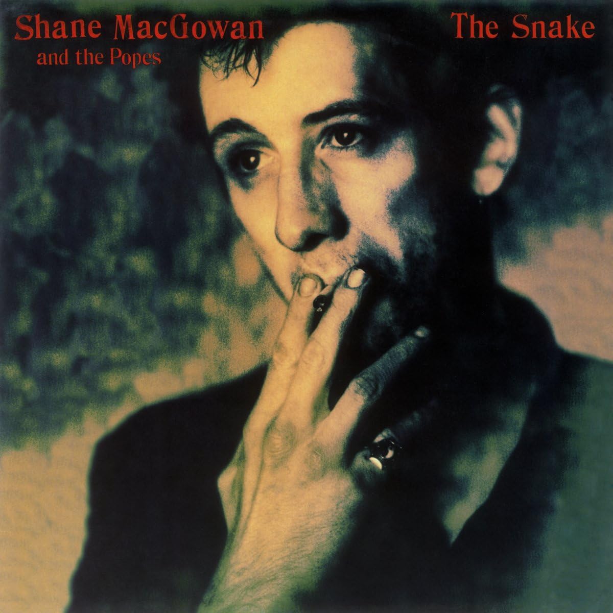 Shane MacGowan And The Popes - The Snake
