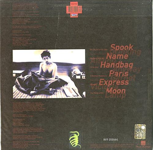 Shane MacGowan And The Popes - The Snake - Image 2