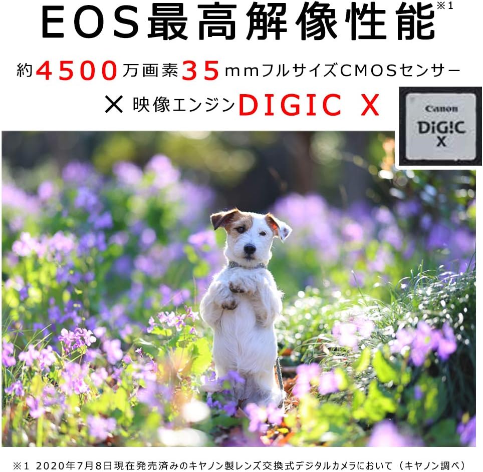 Canon EOS R5 Body EOSR5 Mirrorless SLR Camera - Image 3